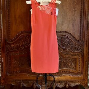 Zara Trafaluc Bodycon Dress (Orange, Size S)
